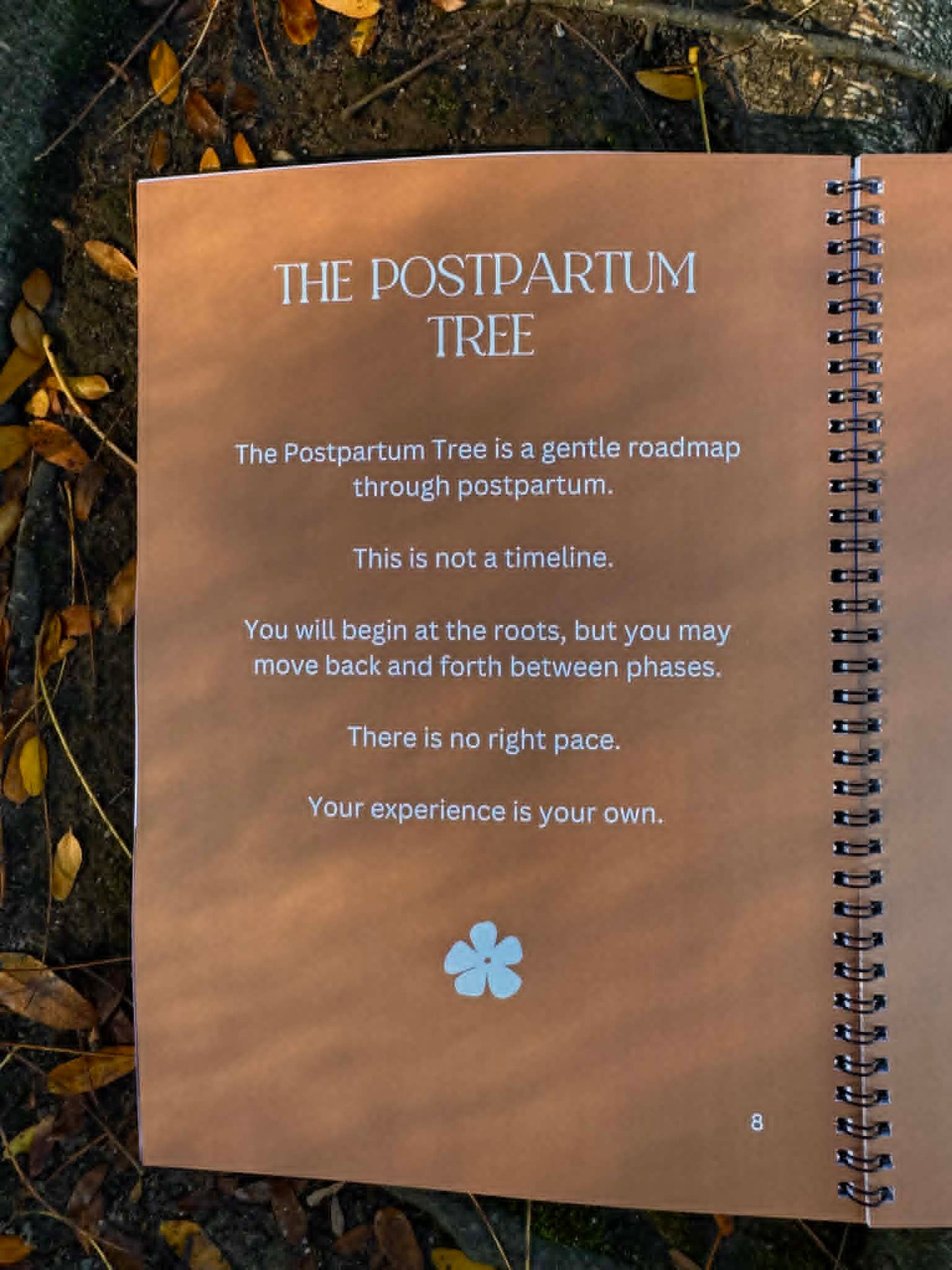 The Birth Tree