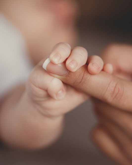 Nourished & Held - Postpartum Doula Package